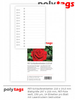 PET-Schlaufenetiketten 2119 a4