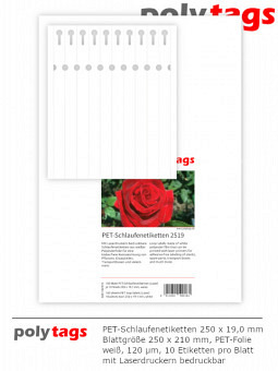 PET-Schlaufenetiketten 2519