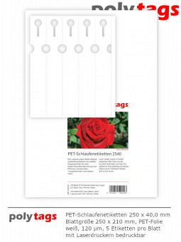 PET-Schlaufenetiketten 2540